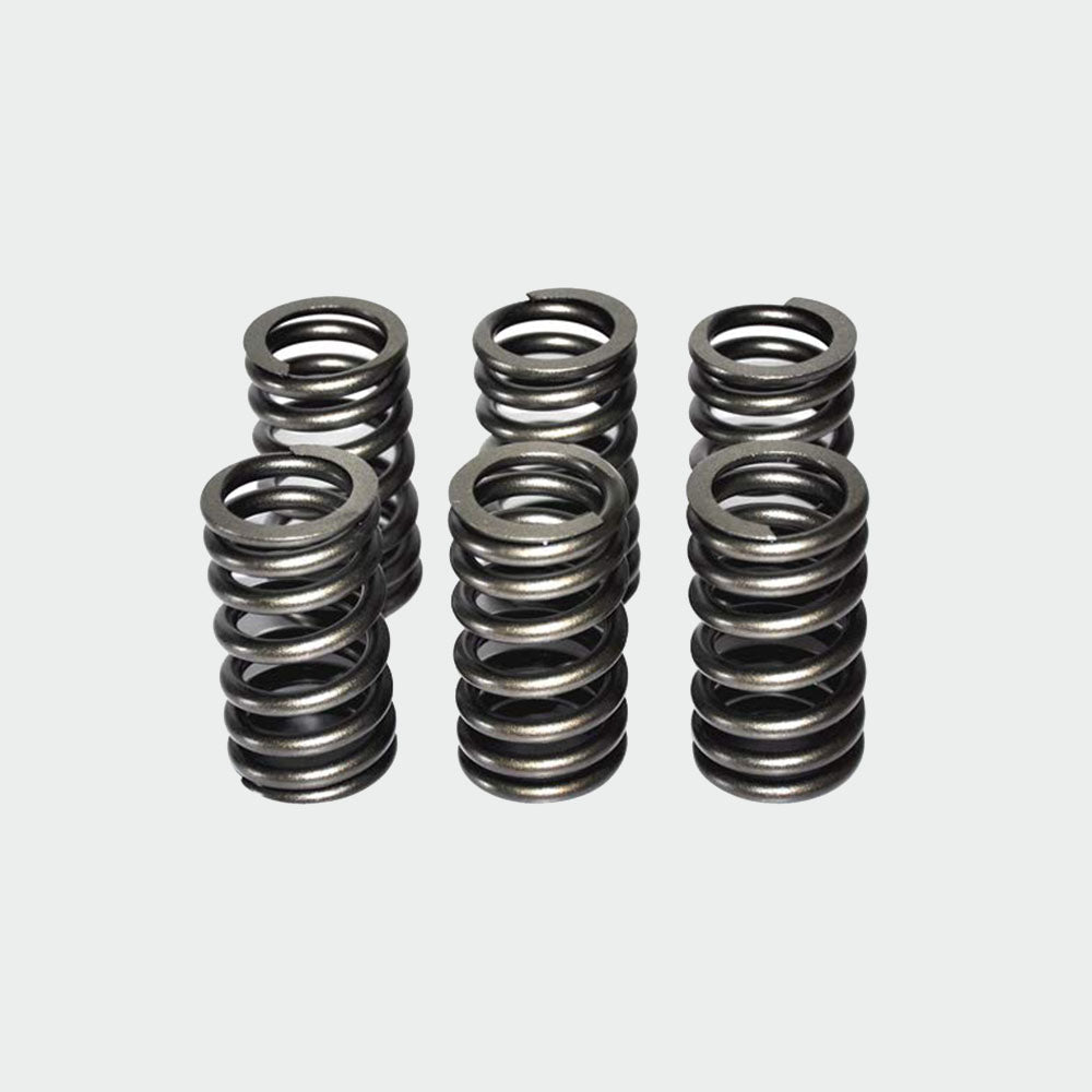 VALVE SPRING